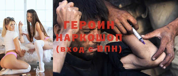 индика Бородино
