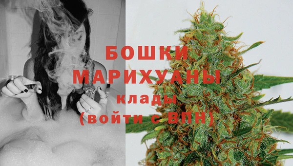 индика Бородино