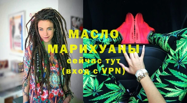 индика Бородино