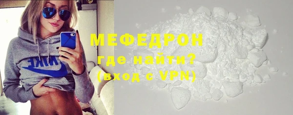 индика Бородино