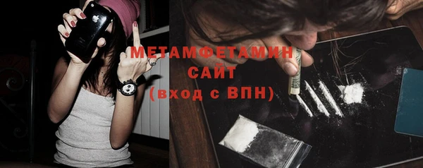 индика Бородино