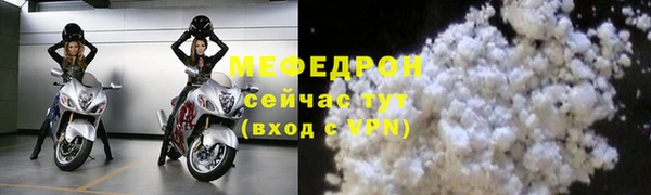индика Бородино