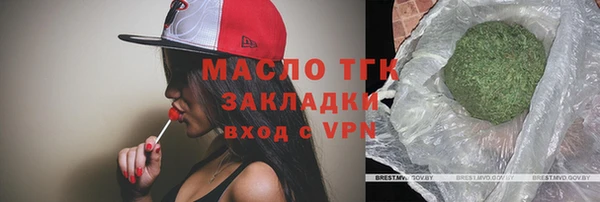 индика Бородино