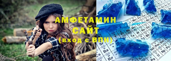 индика Бородино