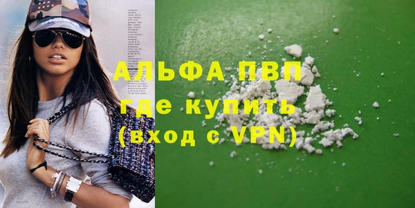 индика Бородино