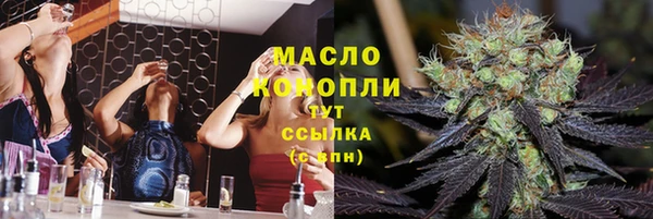 индика Бородино