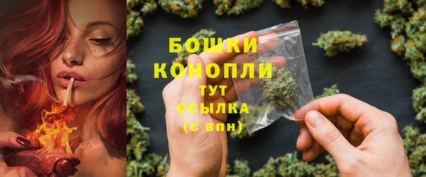 индика Бородино