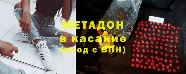 индика Бородино