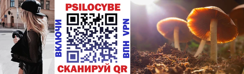 где купить наркотик  Новокузнецк  Псилоцибиновые грибы мухоморы 